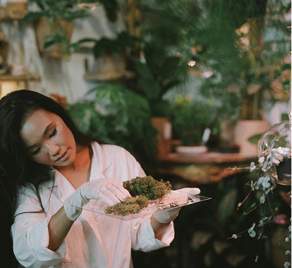 Sex and Terpenes: Using Terpenes in the Bedroom