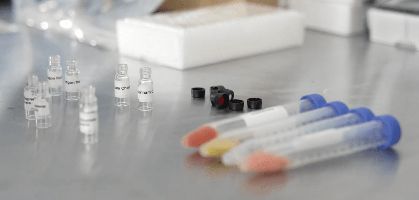 Various laboratory supplies on a stainless steel surface. Small clear glass vials with white labels like Dragon Fruit and Surinam Cherry stand on the left. In the center are several black screw caps, and on the right, four plastic syringes with blue caps contain different colored substances in red, yellow, and peach tones.