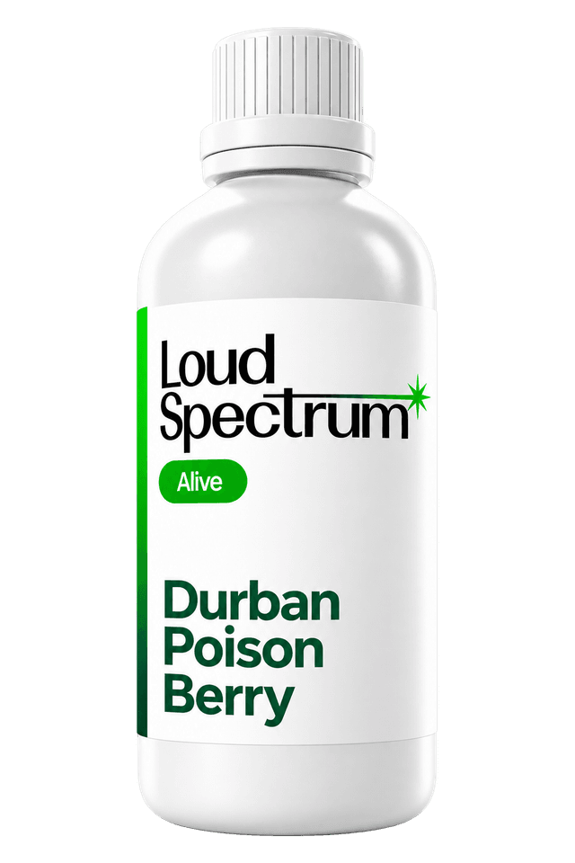 Alive Durban Poison Berry
